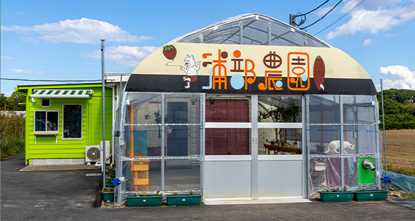 浦部農園URABE FARM